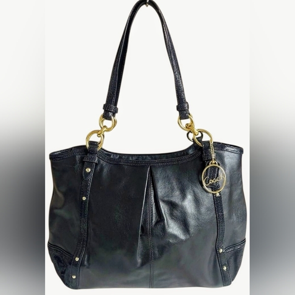 Coach Alexandra Python Chain Shoulder Bag NWOT - Picture 16 of 16